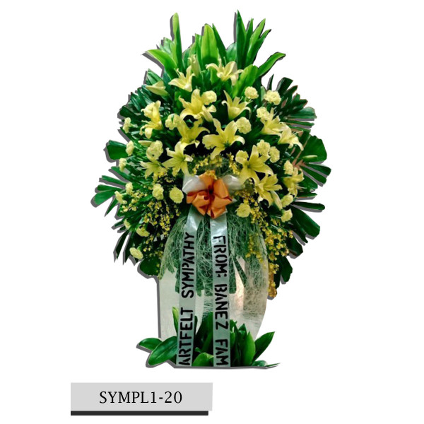 SYMPL1-20