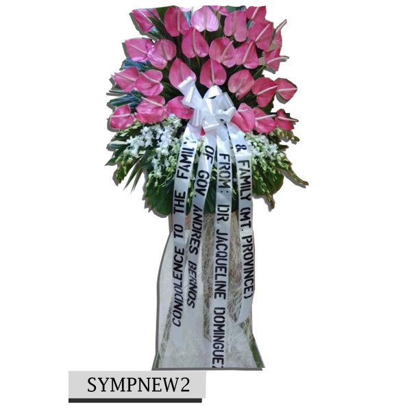 SYMPNEW2
