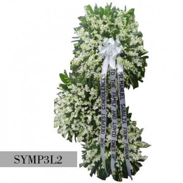SYMP-3L2 SYMP-3L2...