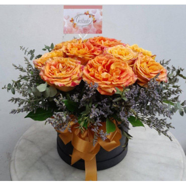 ROSE-BOX2 ROSE-BOX2...
