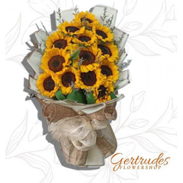 giant-sunflower1 giant-sunflower1...