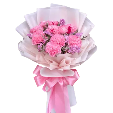 CARNATION PINK 1...