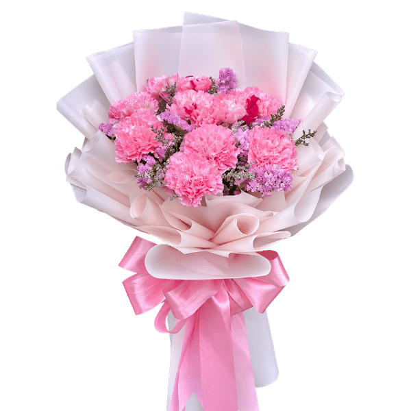 CARNATION PINK 1