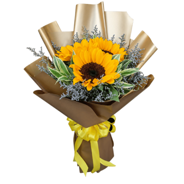 SUNFLOWER-13...