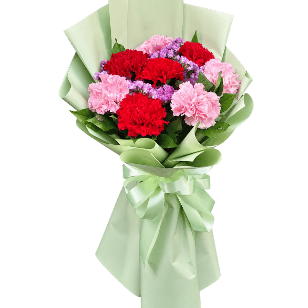 BOUQUET-CARNATION10