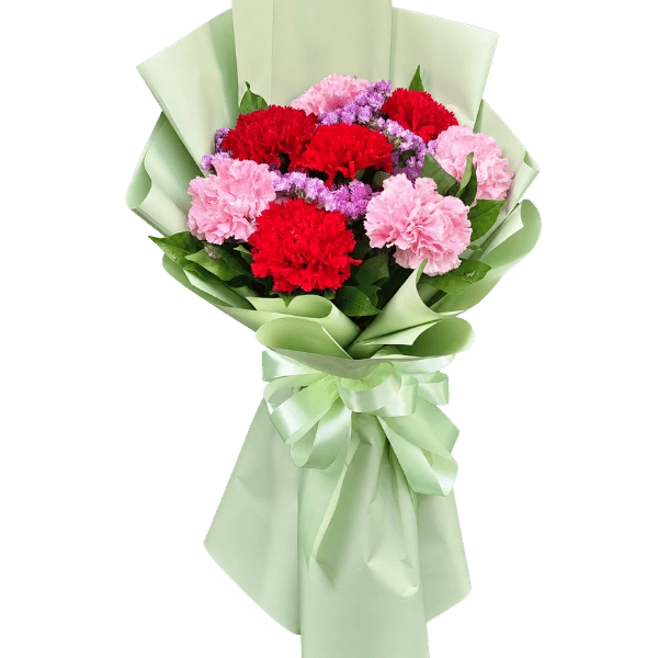 BOUQUET-CARNATION10