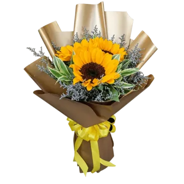 SUNFLOWER-13...