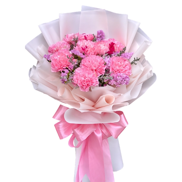 CARNATION PINK 1