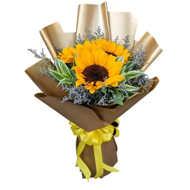 SUNFLOWER-13...