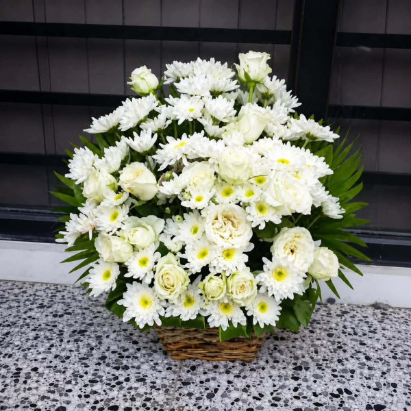 BASKET-32
