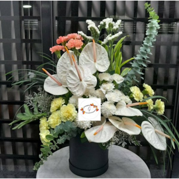 BOXFLOWERS-1