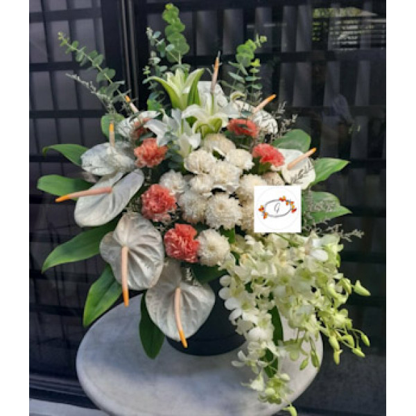 BOX-FLOWERS14