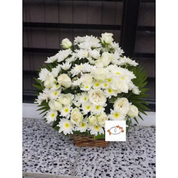 BASKET-32