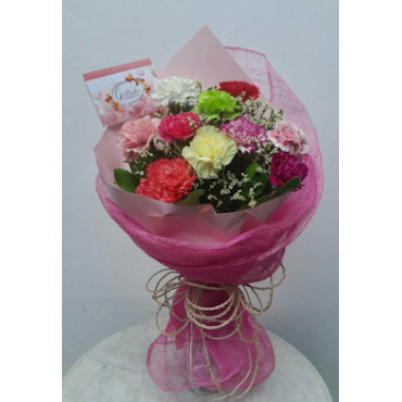 CARNATION-11...