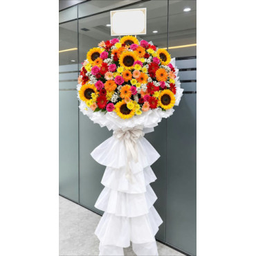 INAUGURAL-64A...