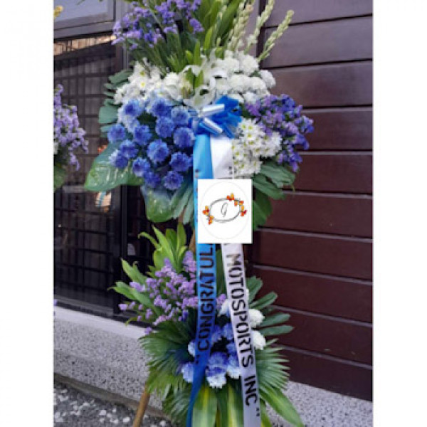 INAG-BLUE1