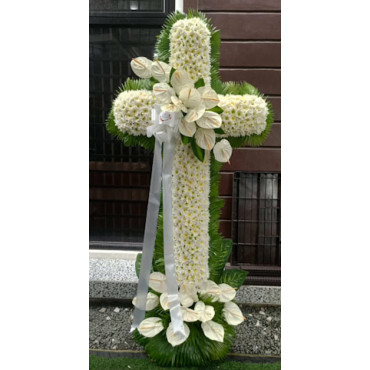 SYMP-CROSSES ...