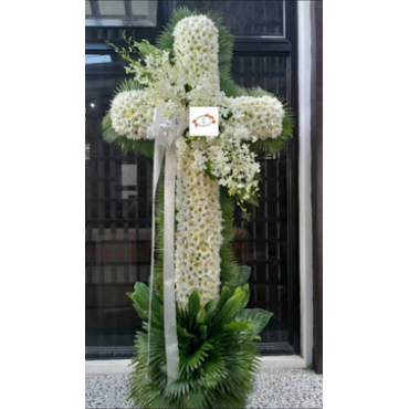 SYMP-CROSSES1...